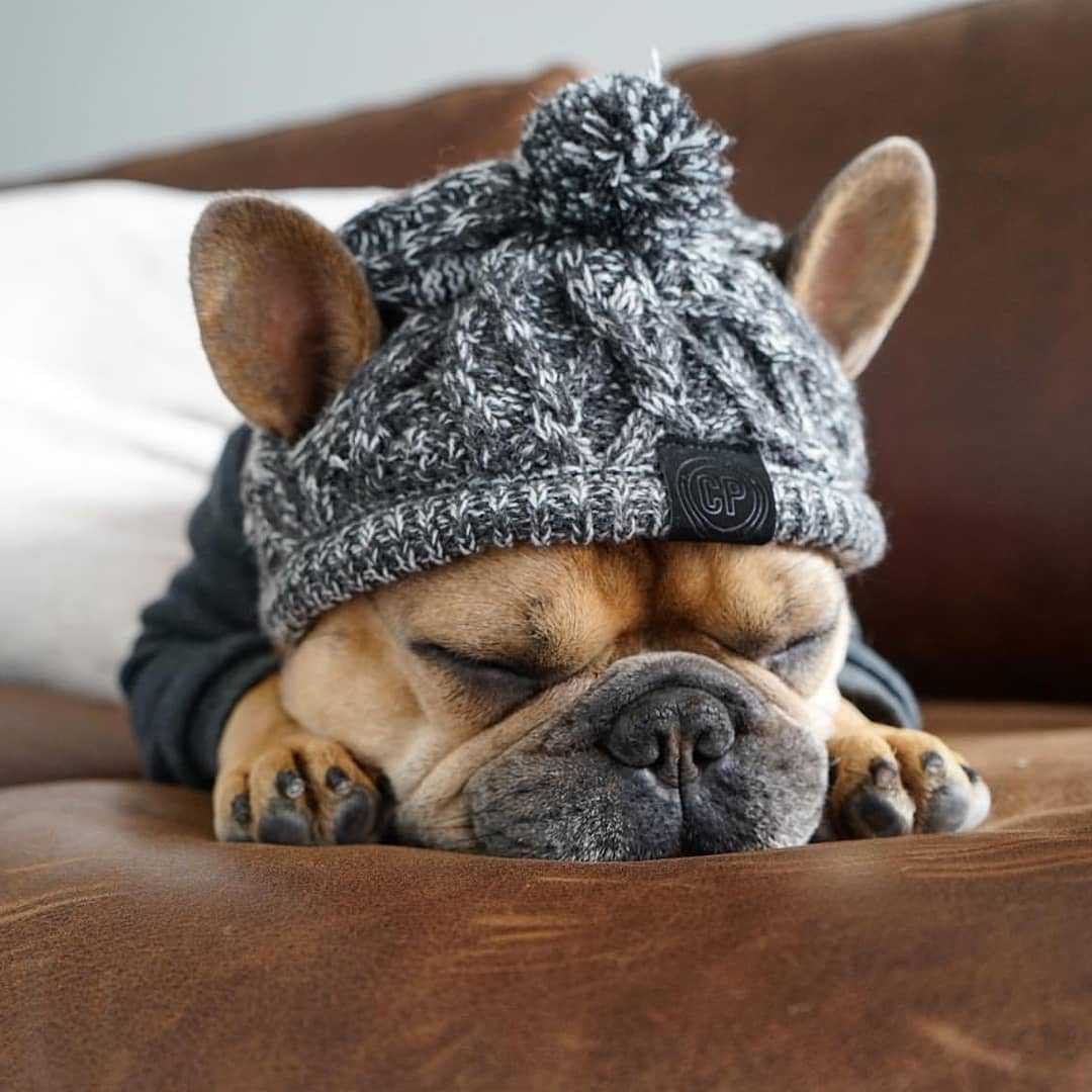 Winter Beanie