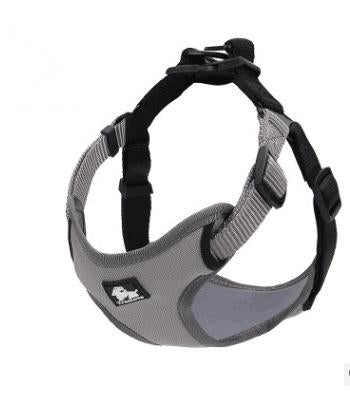 Durable Everyday Harness