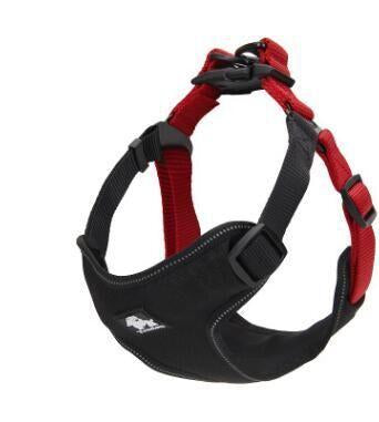 Durable Everyday Harness