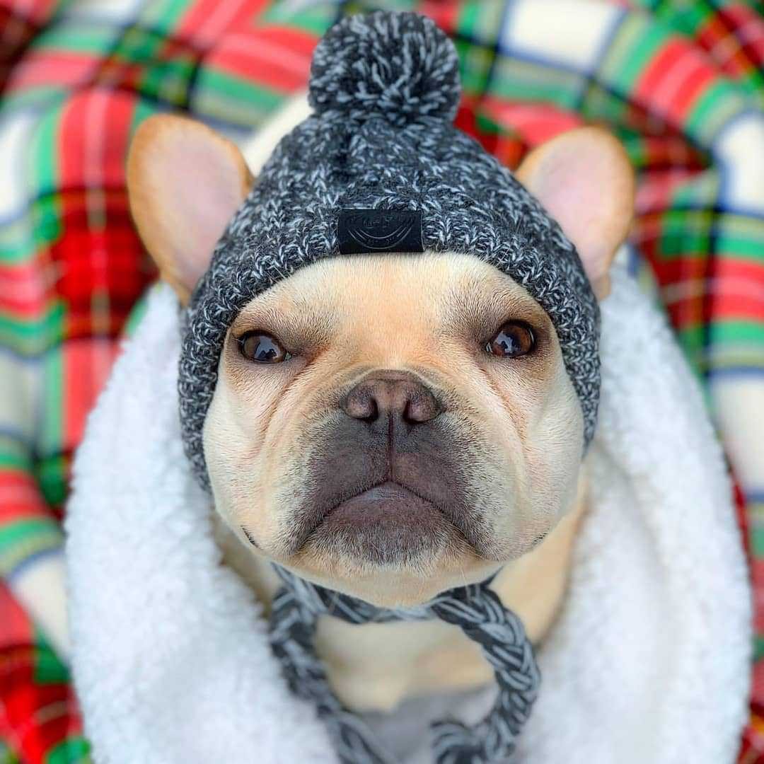 Winter Beanie