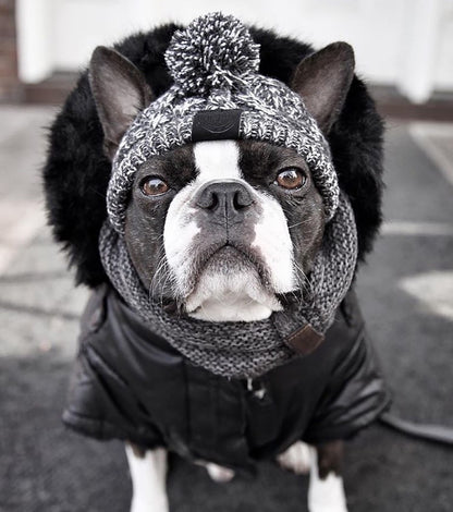 Winter Beanie