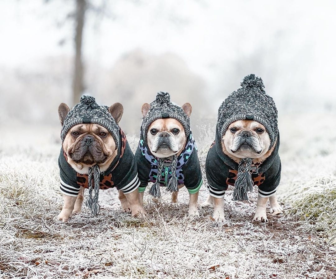 Winter Beanie