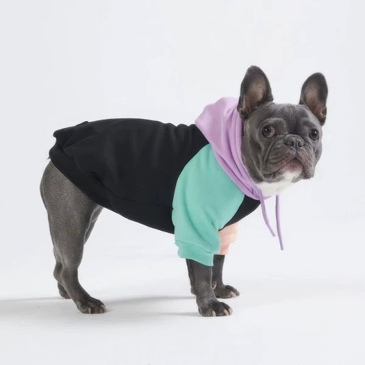 Oslo Dog Hoodie