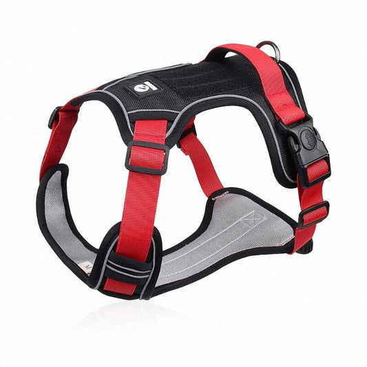 Safe Stride High Reflective Harness