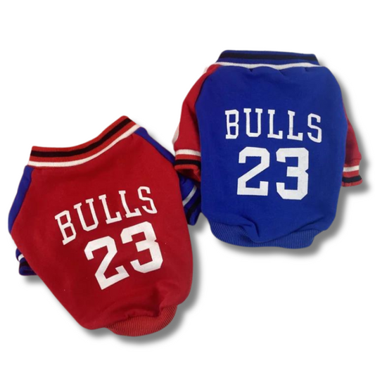 Bulls Sweater