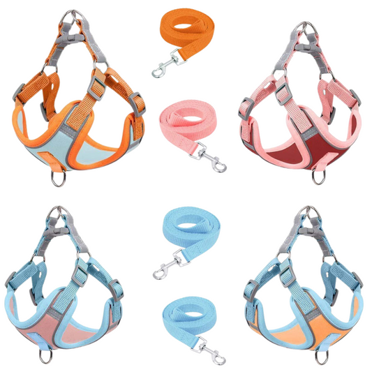 Reflective Cradle Harness And Lead