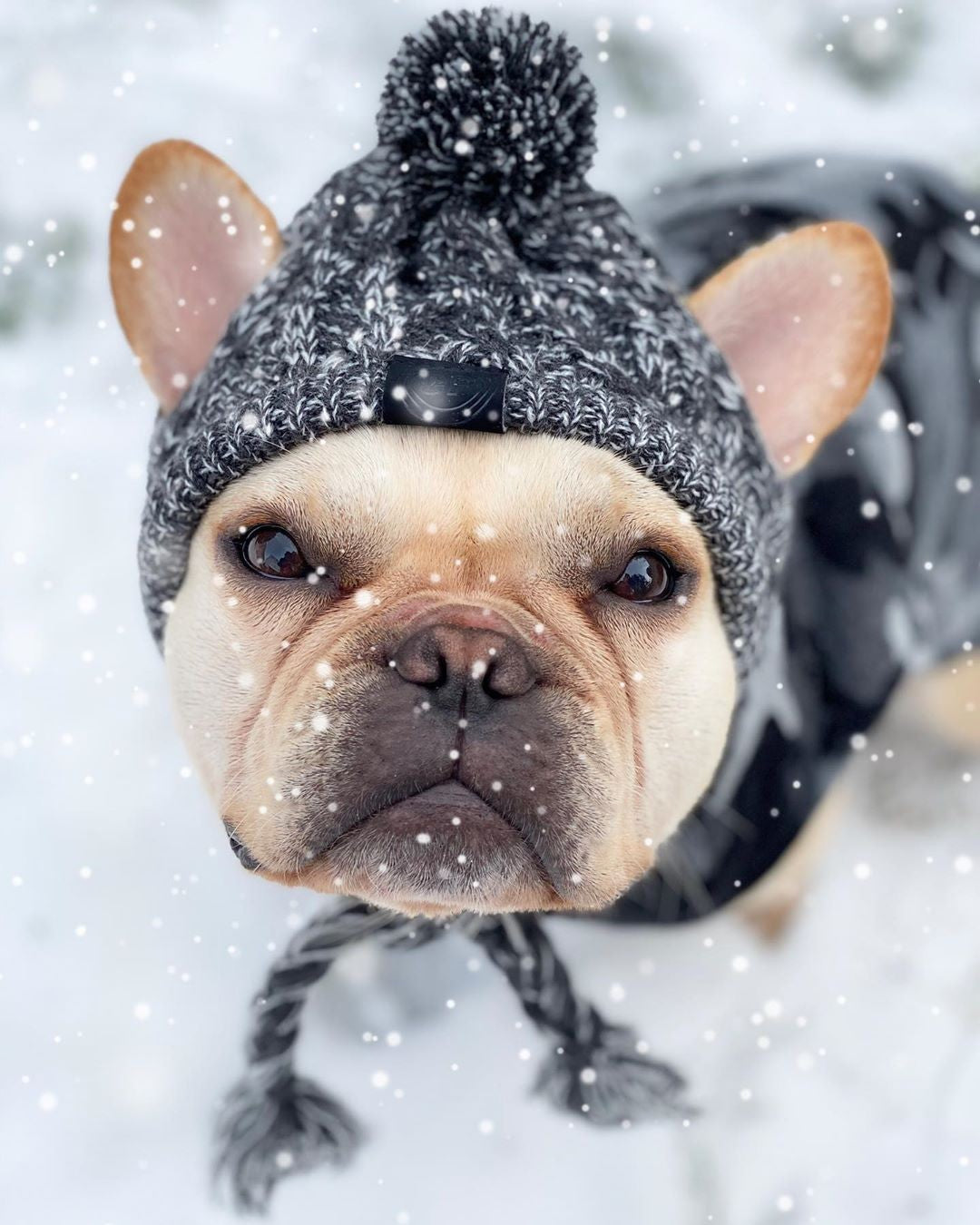 Winter Beanie