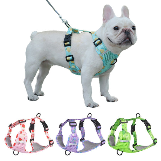 Tutti-Frutti Dog Harness